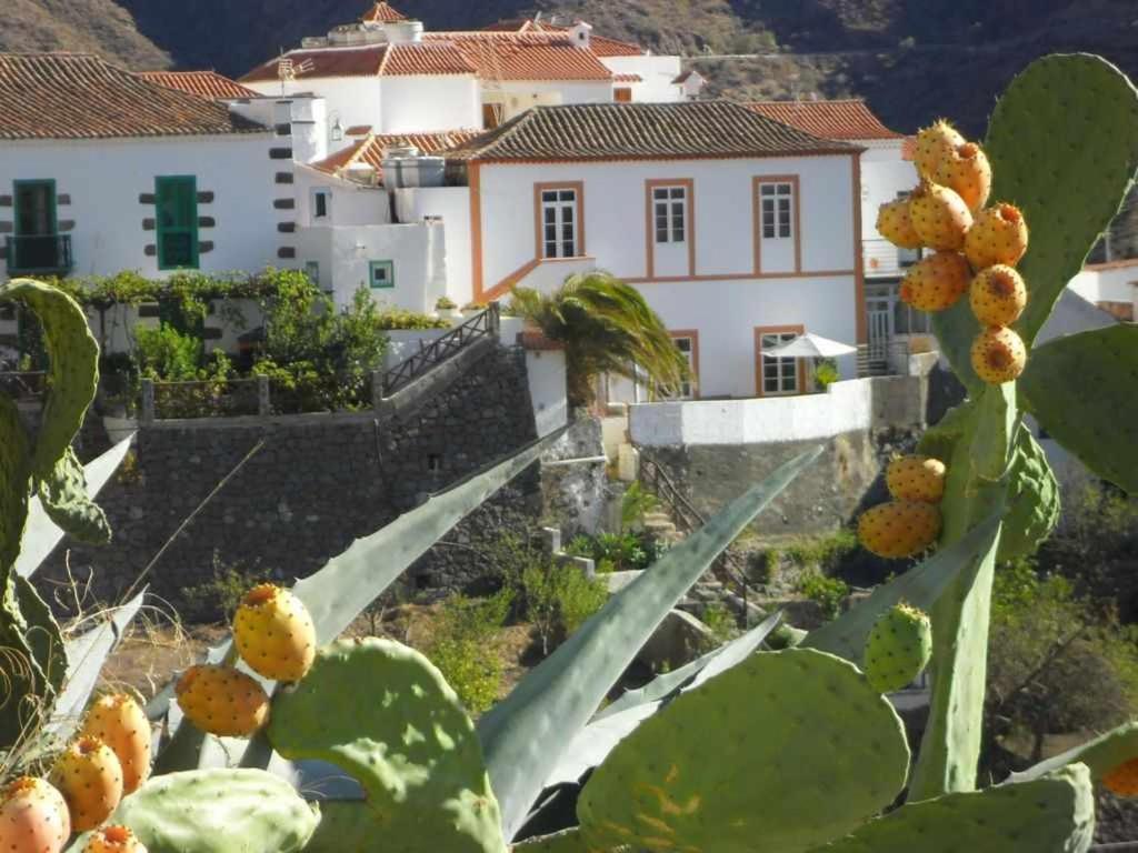 Casa Rural Las Cascaras Tejeda  Exteriör bild